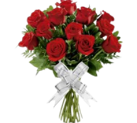 rosas-removebg-preview