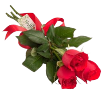 rosas_1-removebg-preview